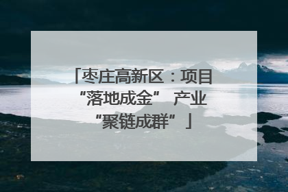 枣庄高新区：项目“落地成金” 产业“聚链成群”