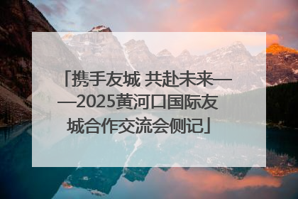 携手友城 共赴未来——2025黄河口国际友城合作交流会侧记