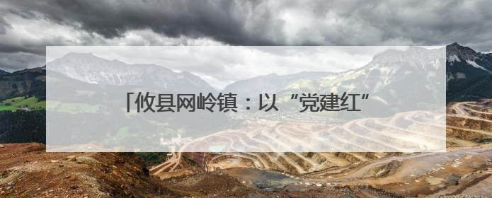 攸县网岭镇：以“党建红”筑牢乡村教育“安全绿”