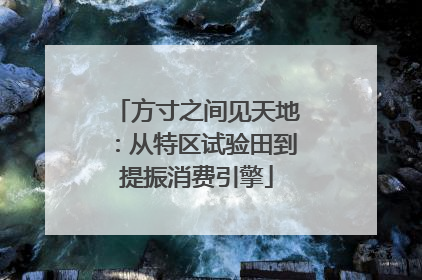 方寸之间见天地：从特区试验田到提振消费引擎