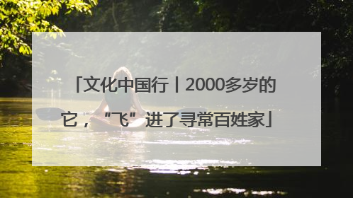文化中国行丨2000多岁的它，“飞”进了寻常百姓家