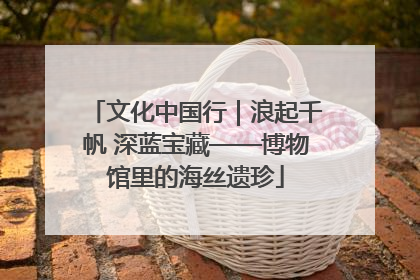 文化中国行｜浪起千帆 深蓝宝藏——博物馆里的海丝遗珍
