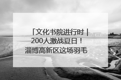 文化书院进行时｜200人激战夏日！淄博高新区这场羽毛球比赛太酷