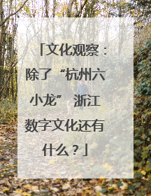 文化观察：除了“杭州六小龙” 浙江数字文化还有什么？