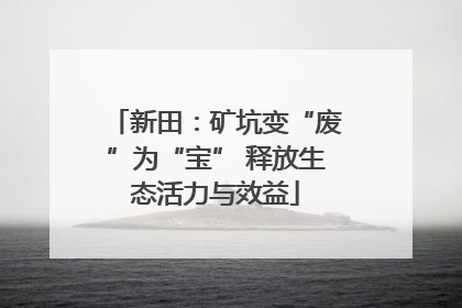 新田：矿坑变“废”为“宝” 释放生态活力与效益