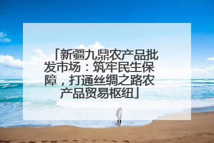 新疆九鼎农产品批发市场：筑牢民生保障，打通丝绸之路农产品贸易枢纽