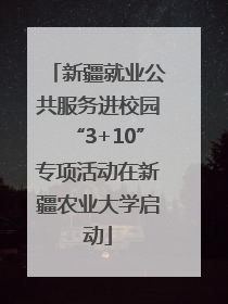 新疆就业公共服务进校园“3+10”专项活动在新疆农业大学启动