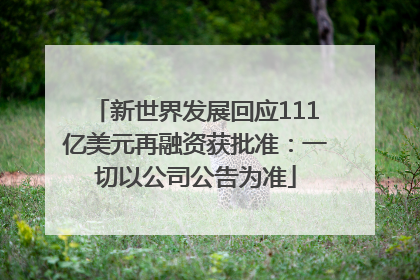 新世界发展回应111亿美元再融资获批准：一切以公司公告为准