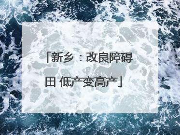 新乡：改良障碍田 低产变高产