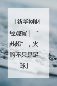 新华网财经观察｜“苏超”，火的不只是足球