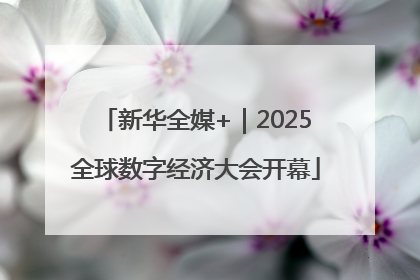 新华全媒+｜2025全球数字经济大会开幕