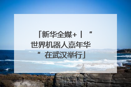新华全媒+丨“世界机器人嘉年华”在武汉举行