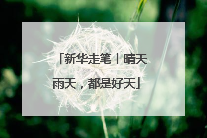 新华走笔丨晴天雨天，都是好天