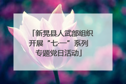 新晃县人武部组织开展“七·一”系列专题党日活动