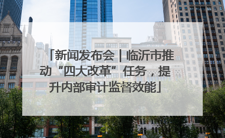 新闻发布会｜临沂市推动“四大改革”任务，提升内部审计监督效能