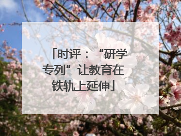 时评：“研学专列”让教育在铁轨上延伸