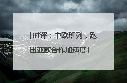 时评：中欧班列，跑出亚欧合作加速度