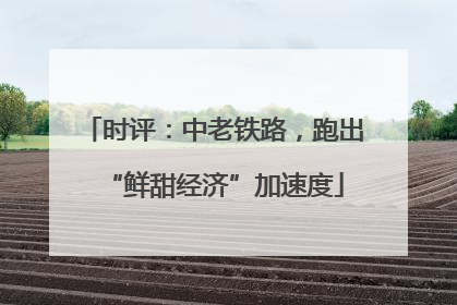 时评：中老铁路，跑出“鲜甜经济”加速度
