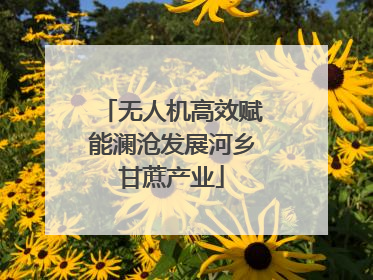 无人机高效赋能澜沧发展河乡甘蔗产业