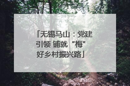 无锡马山：党建引领 铺就“梅”好乡村振兴路