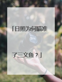 日照为何瞄准了三文鱼？