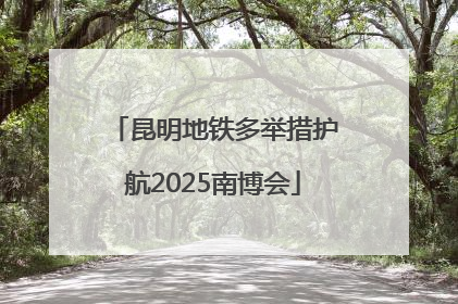 昆明地铁多举措护航2025南博会