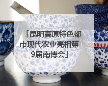 昆明高原特色都市现代农业亮相第9届南博会