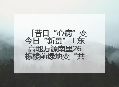 昔日“心病”变今日“新景”！东高地万源南里26栋楼前绿地变“共享花园”