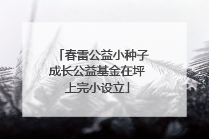 春雷公益小种子成长公益基金在坪上完小设立
