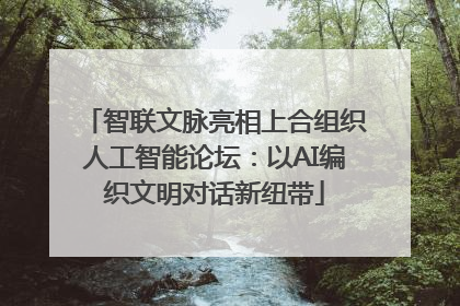 智联文脉亮相上合组织人工智能论坛：以AI编织文明对话新纽带