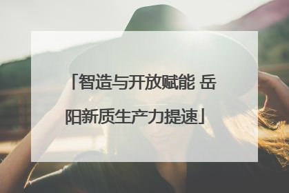 智造与开放赋能 岳阳新质生产力提速