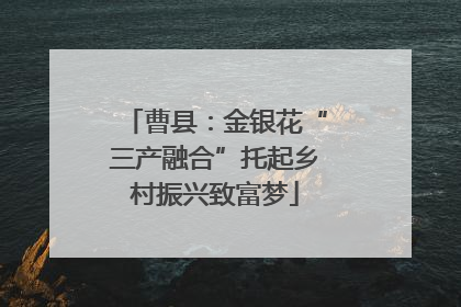 曹县：金银花“三产融合”托起乡村振兴致富梦