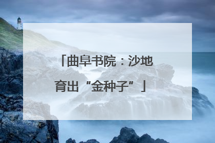曲阜书院：沙地育出“金种子”