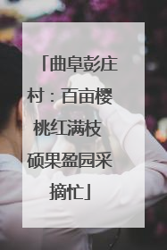 曲阜彭庄村：百亩樱桃红满枝 硕果盈园采摘忙