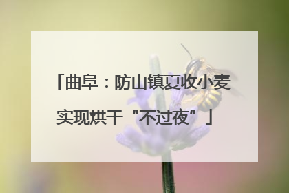 曲阜：防山镇夏收小麦实现烘干“不过夜”