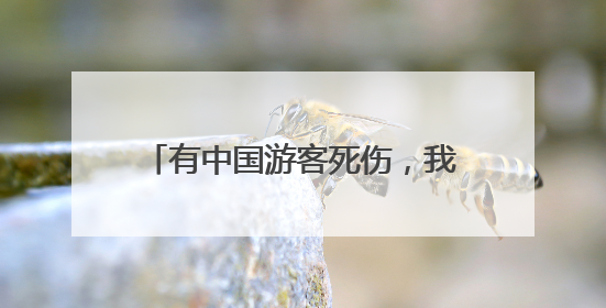 有中国游客死伤，我驻意大利使馆发声