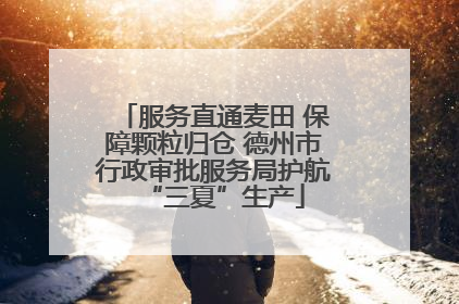 服务直通麦田 保障颗粒归仓 德州市行政审批服务局护航“三夏”生产