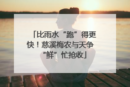 比雨水“跑”得更快！慈溪梅农与天争“鲜”忙抢收