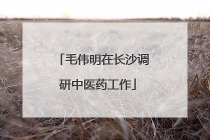 毛伟明在长沙调研中医药工作