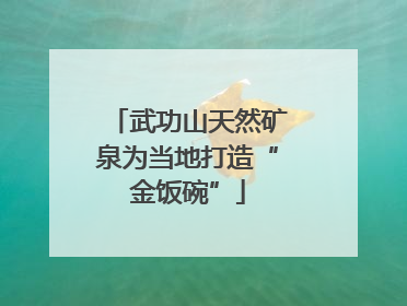 武功山天然矿泉为当地打造“金饭碗”
