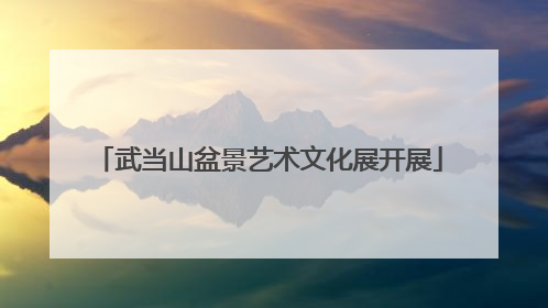 武当山盆景艺术文化展开展