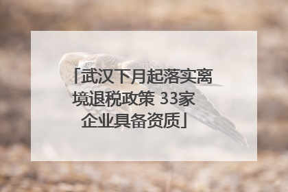 武汉下月起落实离境退税政策 33家企业具备资质