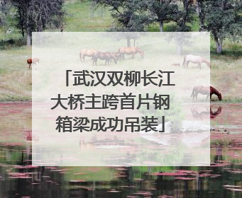 武汉双柳长江大桥主跨首片钢箱梁成功吊装