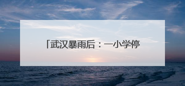 武汉暴雨后：一小学停课清淤，有商家称地下仓库数万元货物被泡