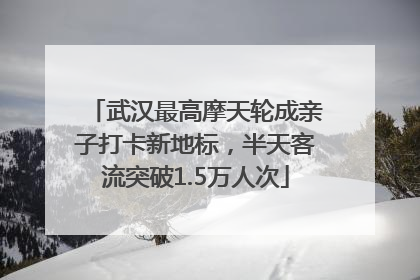 武汉最高摩天轮成亲子打卡新地标，半天客流突破1.5万人次