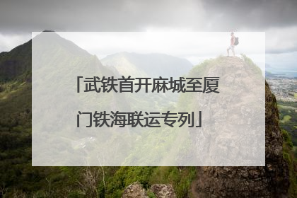 武铁首开麻城至厦门铁海联运专列
