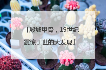 殷墟甲骨，19世纪震惊于世的大发现