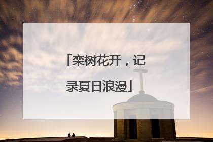 栾树花开，记录夏日浪漫