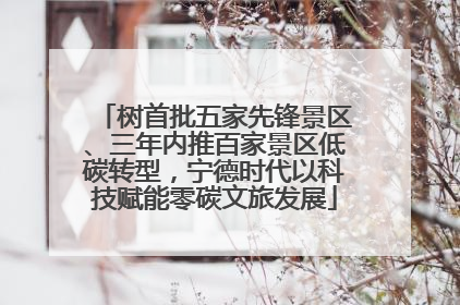 树首批五家先锋景区、三年内推百家景区低碳转型，宁德时代以科技赋能零碳文旅发展