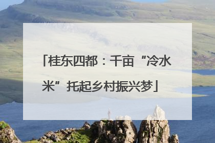 桂东四都：千亩“冷水米”托起乡村振兴梦